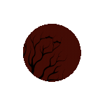 Animation - 1731976989993